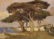 Arthur Mathews Monterey Cypress oil painting on canvas